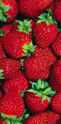 Anglia Produce
